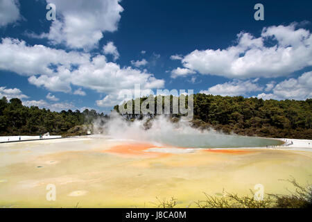 Champagne piscina al WAI-o-tapu area geotermica Foto Stock