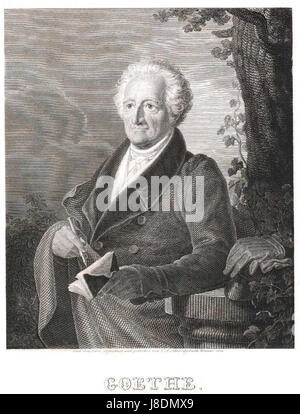 Questo si riferisce a una collezione nella Dibner Library dello Smithsonian, che contiene opere relative a Johann Wolfgang von Goethe, un importante scrittore tedesco. Il riferimento specifico al catalogo può riguardare i contributi scientifici o letterari di Goethe. Foto Stock