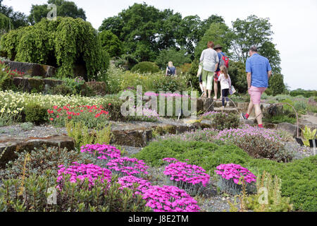 Wisley, Surrey, Regno Unito. Il 28 maggio 2017. I visitatori potranno gustarsi i fiori colorati nel sole mattutino at Wisley Gardens in Surrey. Credito: Julia Gavin UK/Alamy Live News Foto Stock