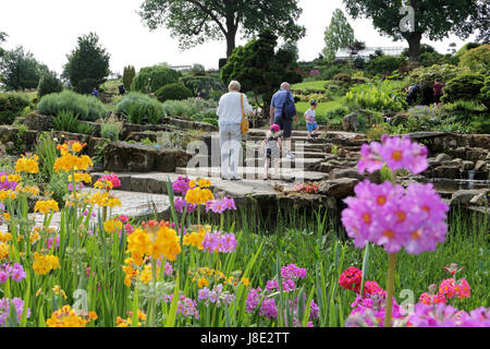 Wisley, Surrey, Regno Unito. Il 28 maggio 2017. I visitatori potranno gustarsi i fiori colorati nel sole mattutino at Wisley Gardens in Surrey. Credito: Julia Gavin UK/Alamy Live News Foto Stock