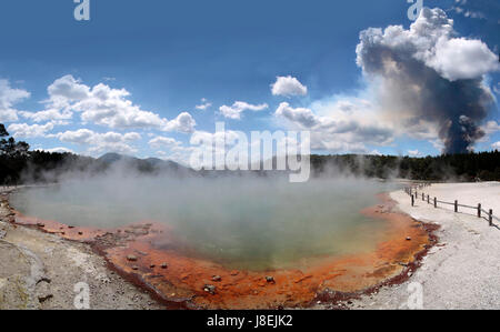 Incendio di foresta nel WAI-o-tapu area geotermica Foto Stock