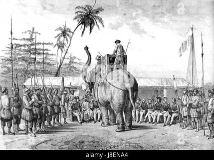 Hyacinthe de Bougainville Foto Stock