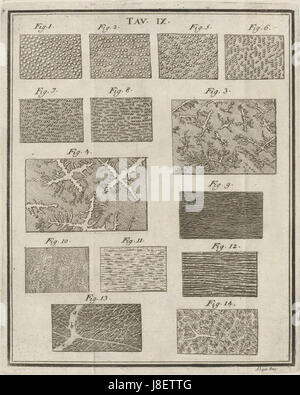 Houghton Typ 725 76.843 Torre, Tav IX Foto Stock