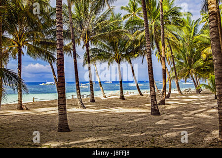 Outrigger barche ancorate al largo visto attraverso un albero di cocco Grove at Alona Beach in Panglao Island nelle Filippine. Foto Stock