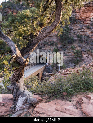 Struttura intrecciata e Carmelo Zion-Mount Tunnel da canyon overlook trail Foto Stock