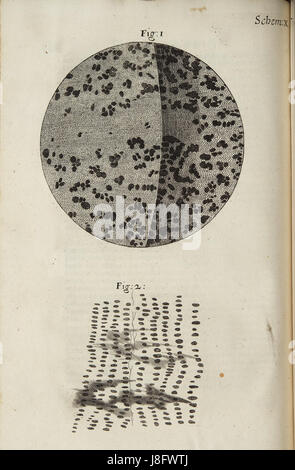 Micrographia Schem 10 si riferisce a un'opera o una rappresentazione della pubblicazione scientifica del XVII secolo, *Micrographia*, di Robert Hooke. La pubblicazione è famosa per le sue illustrazioni dettagliate di oggetti osservati al microscopio, segnando un contributo significativo ai primi studi scientifici. Schem 10 sarebbe una delle illustrazioni o osservazioni specifiche all'interno di questo lavoro innovativo. Foto Stock