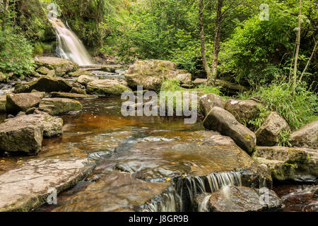 Sleive Bloom Montagne Irlanda Foto Stock