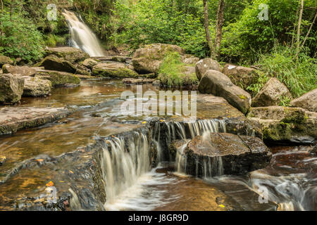 Sleive Bloom Montagne Irlanda Foto Stock