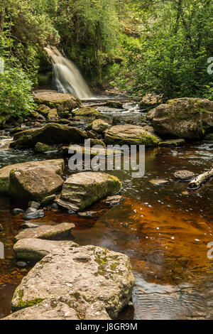 Sleive Bloom Montagne Irlanda Foto Stock