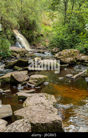 Sleive Bloom Montagne Irlanda Foto Stock