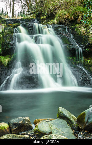 Sleive Bloom Montagne Irlanda Foto Stock