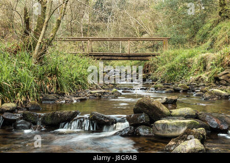 Sleive Bloom Montagne Irlanda Foto Stock