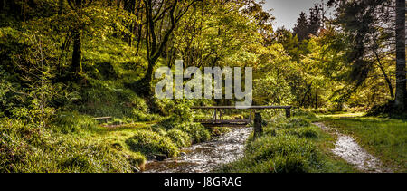 Sleive Bloom Montagne Irlanda Foto Stock