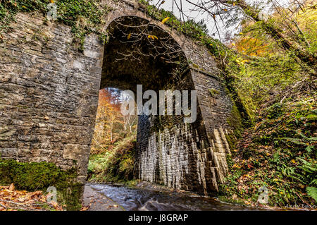 Sleive Bloom Montagne Irlanda Foto Stock