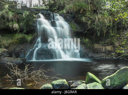 Sleive Bloom Montagne Irlanda Foto Stock