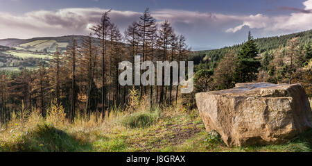 Sleive Bloom Montagne Irlanda Foto Stock