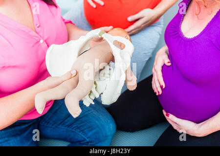 Spiegare il processo di nascita con modello anatomico di ossa pelviche Foto Stock