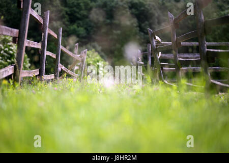 Bokeh sensazione sul vecchio recinto recinzione al ranch rural scenic estate. In legno antico recinto rurale fense in Prato Foto Stock