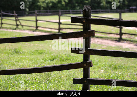 Ingrandimento dei dettagli in legno recinzione corral su animali della fattoria Foto Stock