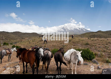 La Turchia e l'Armenia, luogo, scalare, arrampicata, Ascend, in salita, battistrada, arrampicarsi, moschea, Foto Stock