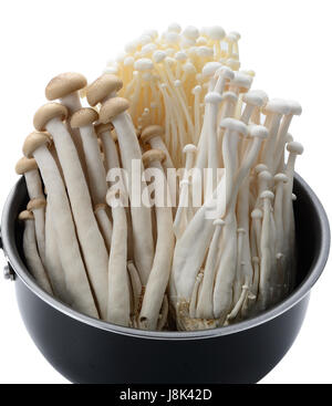 Close up di un assortimento di funghi in padella Foto Stock