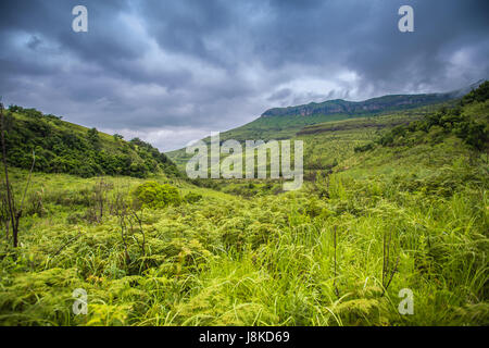 Bellissimo aspetto della regione di paesaggi di Drakensberg - Africa del Sud Foto Stock