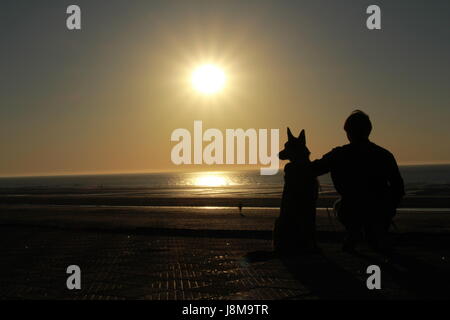 Il cane e il suo insegnante di guardare il tramonto sulla spiaggia Foto Stock