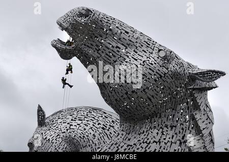 Accesso con cordami tecnici Andrew Pennycuick (fondo), Paul Smith (centro) e John Benson effettuare il primo controllo sanitario sul Kelpies a Falkirk come essi si avvicinano al loro terzo compleanno. Foto Stock