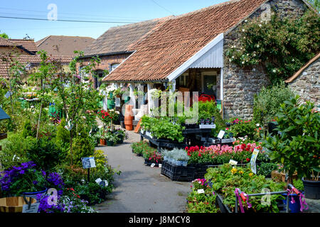 Intorno a Thornbury una piccola città in Inghilterra GLOUCESTERSHIRE REGNO UNITO Foto Stock