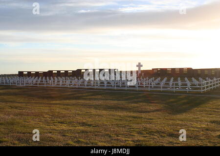 Isole Falkland -= Cimitero argentino Foto Stock