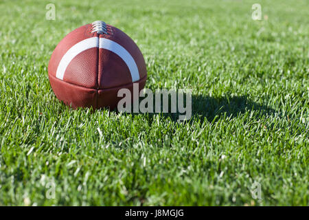 Il fuoco selettivo a basso angolo di visione di un college football stile su un campo in erba Foto Stock