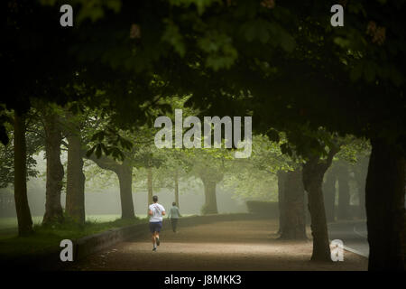 Pareggiatore passando a foggy Lark corsia di ingresso a Sefton Park di Liverpool, Merseyside, Inghilterra, Regno Unito. Foto Stock