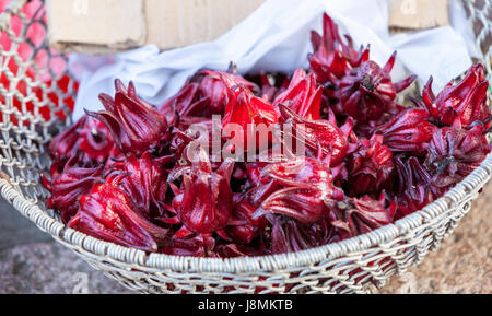 Cangpo, Zhejiang, Cina. Roselle, Hibiscus Sabdariffa, usato per fare un drink rinfrescante, bissap o tè di ibisco. Foto Stock