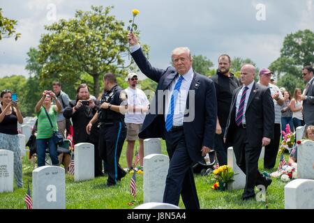 Arlington, Stati Uniti d'America. 29 Maggio, 2017. Stati Uniti Presidente Donald Trump onde una rosa gialla ai curiosi come egli cammina attraverso la sezione 60 presso il Cimitero Nazionale di Arlington durante il Memorial Day Observence Maggio 29, 2017 in Arlington, Virginia. Credito: Planetpix/Alamy Live News Foto Stock