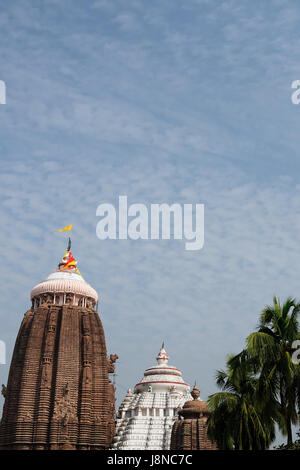 Tempio di Jagannath a Puri, xii secolo D.C., Orissa, India Foto Stock