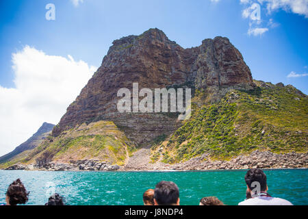 Houtbaai Western Cape, Sud Africa, 30 gennaio 2015: giro in barca a Hout Bay, con avvistamenti di guarnizioni di tenuta Foto Stock