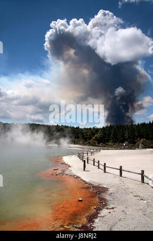 Il fumo e il fumo, fumi, fumi, fuoco, conflagrazione, nuova zelanda, incendio di foresta, Foto Stock