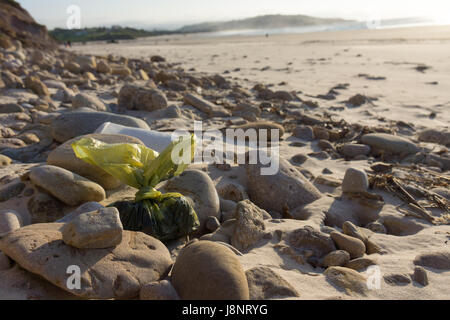 Borsa di cane sporcizia lasciati su una spiaggia tra le rocce. Foto Stock