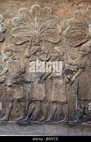 La campagna in Iraq meridionale. Assira, 640-620 A.C. Ninive, Palazzo Sud-Ovest. L'Iraq. British Museum. Londra. Foto Stock