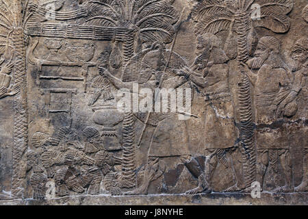 La campagna in Iraq meridionale. Decapitato teste. Assira, 640-620 A.C. Ninive, Palazzo Sud-Ovest. L'Iraq. British Museum. Londra. Foto Stock