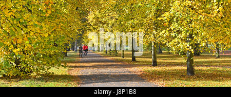 È consentito condiviso il percorso del ciclo & sentiero pedonale in Kensington Gardens Londra Inghilterra colorato Foglie di autunno in Royal Park persone distanti Foto Stock