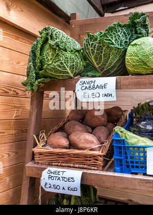 Fattoria britannica produrre...cavolo verza e patate dolci inverno primavera raccolto vegetale in vendita presso Dorset Farmers Market Shop Foto Stock