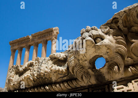 Lion e il Tempio di Giove sei colonne corinzie , Baalbek Foto Stock