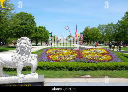 BROOKFIELD, Illinois - 27 Maggio 2017: Lion statua al Brookfield Zoo South Gate. Roosevelt Fontana e la giostra sono in background Foto Stock