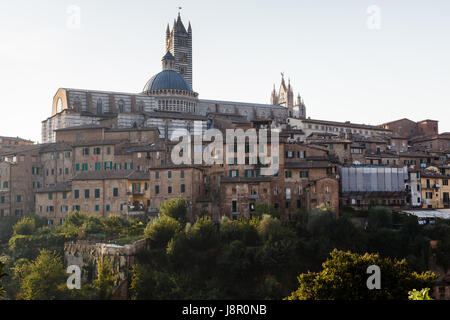 Vista panoramica di Siena con la cattedrale in background, Toscana, Italia Foto Stock