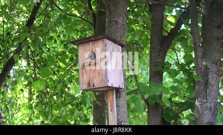 Il piccolo birdhouse appeso a un albero,su uno sfondo di foglie verdi Foto Stock