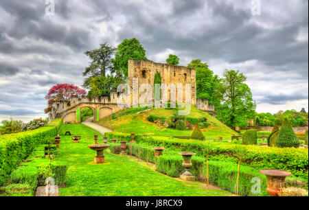 I ruderi di antiche tenere al Chateau de Langeais, Francia Foto Stock