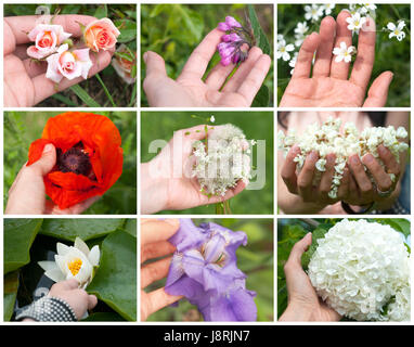 Collage di colorati fiori di primavera in mano di una giovane ragazza sullo sfondo bianco Foto Stock