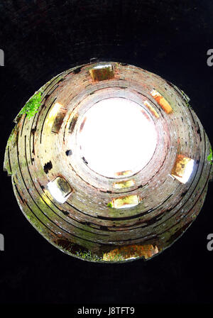 Visualizzare fino alla torre del monumento Racton rovina in Racton, West Sssex, England, Regno Unito Foto Stock