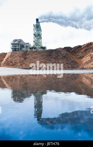 La cartiera di operazioni nel mercato americano del Pacifico del Nord Ovest. Chip di legno pila alimenta il materiale grezzo per il processo di produzione della carta. Foto Stock